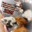 V�noce 2024