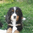 �t���tka oslavila 8  t�denn� narozeniny!!!